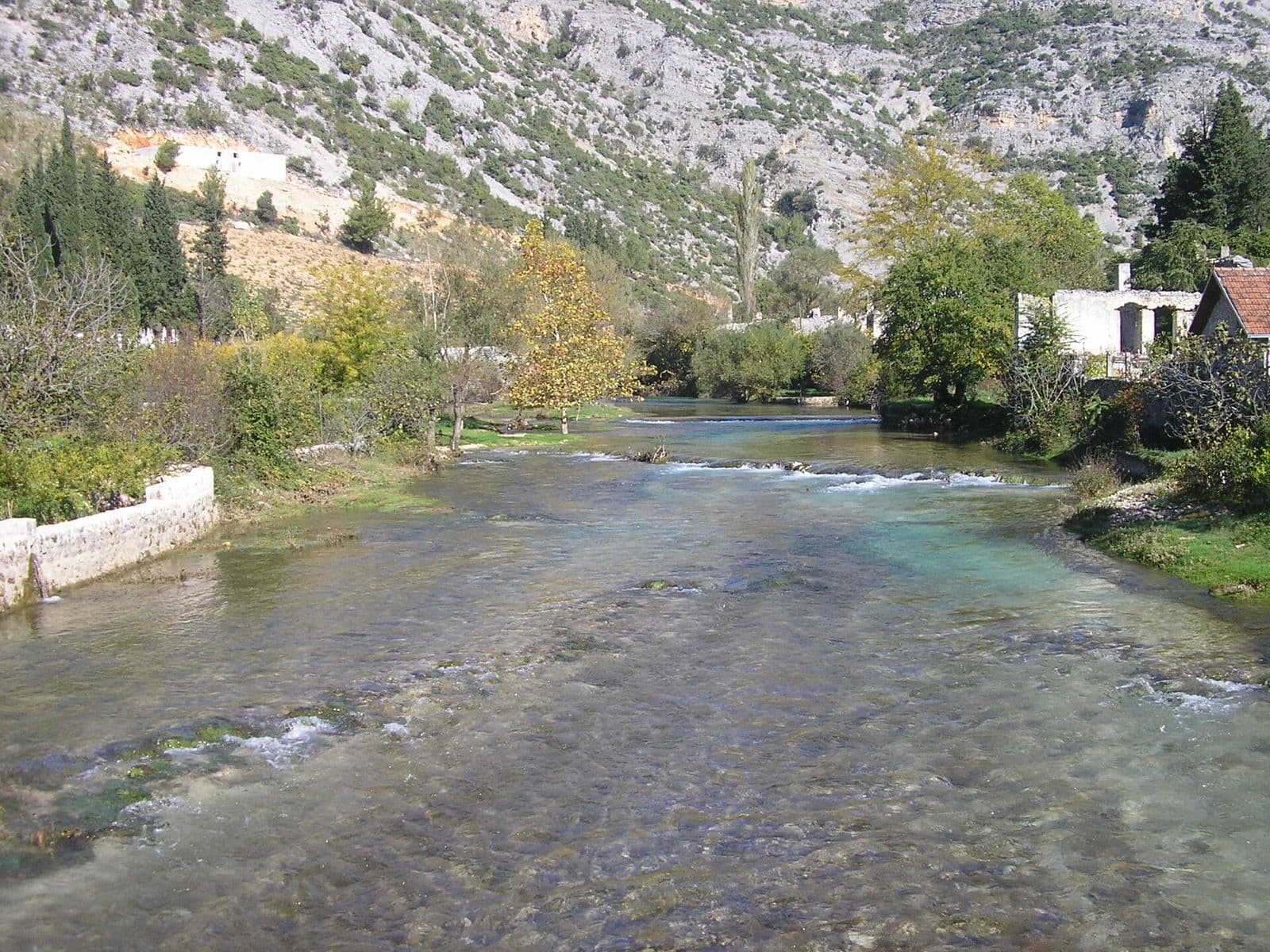 Suša prepolovila urod kukuruza pa bi cijene hrane mogle poskupjeti