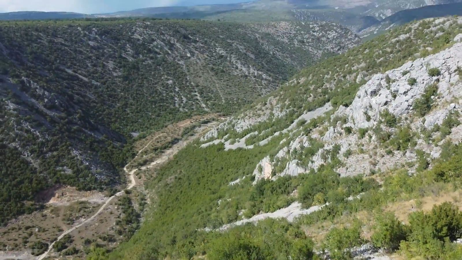 Mještani Ciste Provo peticijom traže rješenje problema slobodnog kretanja goveda