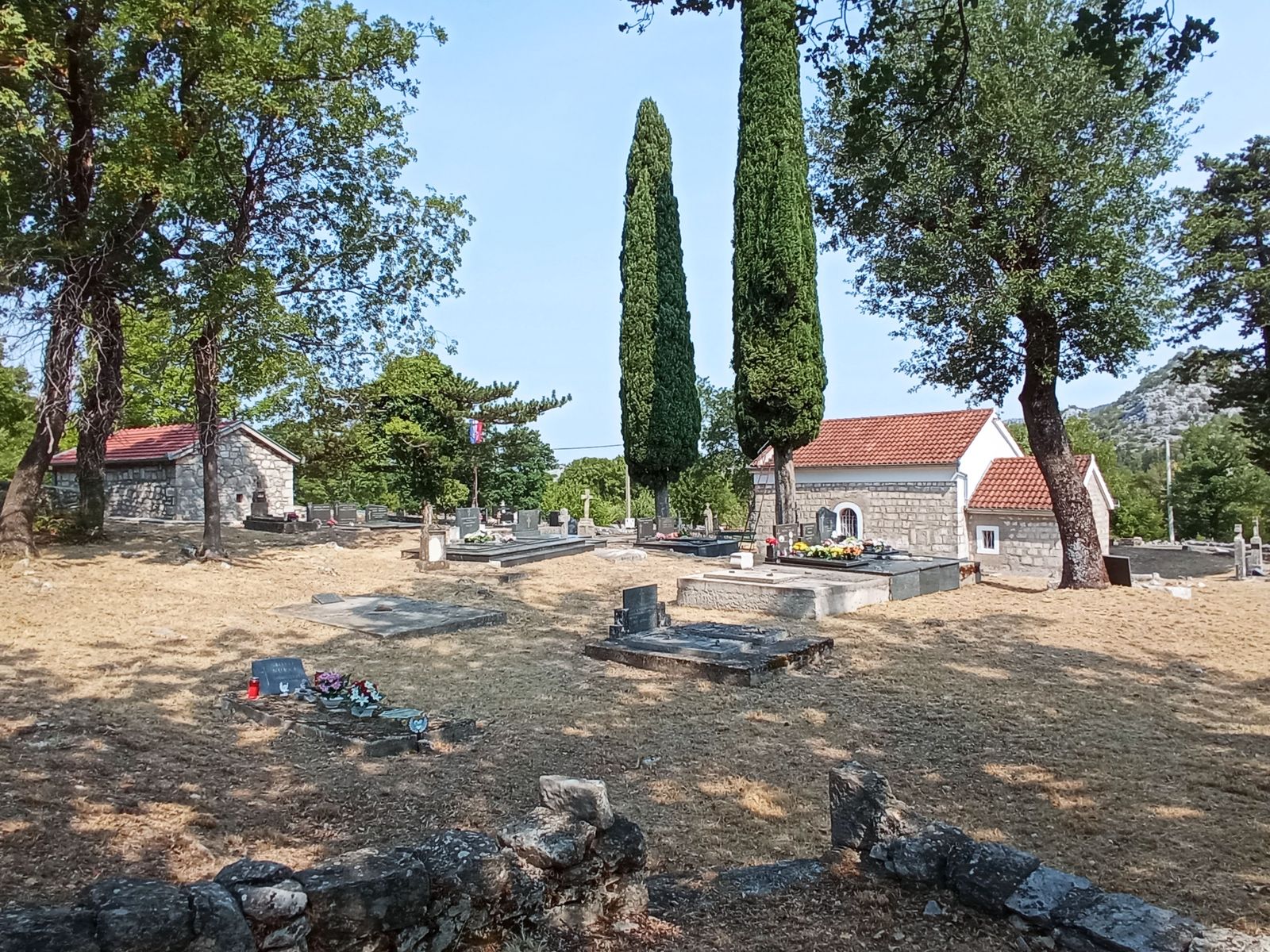 Snimka medvjeda kojeg je jurio vozač izazvala ogorčenje