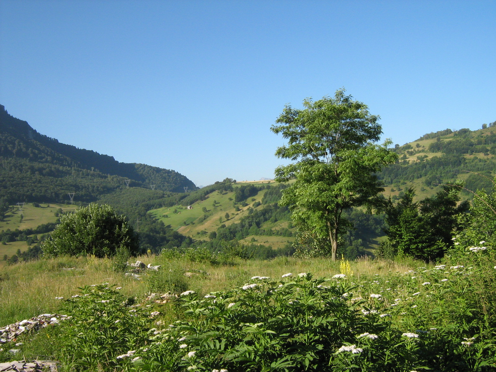 Državljanin BiH ranjen u pucnjavi u Beogradu, osumnjičeni na slobodi